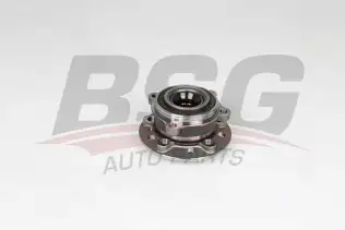 BSG 60600029 Porya Ön