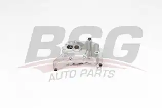 BSG 90101004 Yağ Pompası