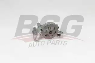 BSG 90101013 Yağ Pompası
