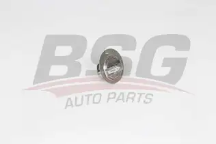 BSG 40126005 Termostat