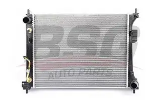 BSG 40520032 Su Radyatörü