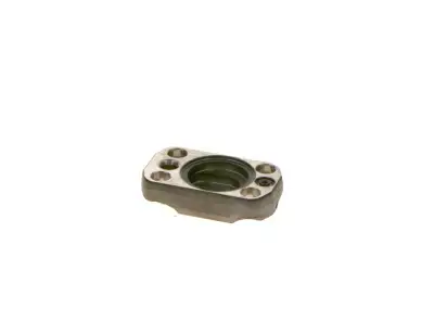 BOSCH F01M100221 Kapak CR - 18. Görsel
