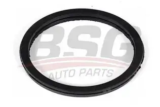BSG 30116079 Termostat Çevre Lastiği