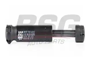 BSG 60980019 Bagaj Amortisörü