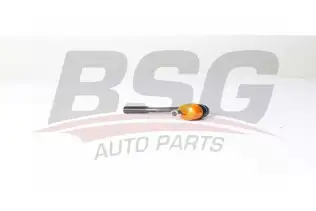 BSG 25310014 Rot Başı Sağ
