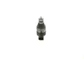 BOSCH 0281006253 Basınç Regülatörü