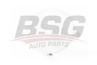 BSG 30922054 Çeki Demir Kapağı Ön