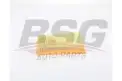 BSG 25135008 Hava Filtresi