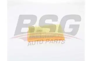 BSG 25135008 Hava Filtresi