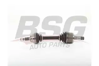 BSG 65350075 Aks Komple Ön Sağ