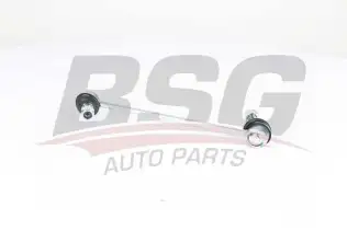 BSG 40310149 Viraj Askı Rotu Ön