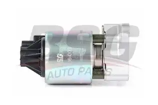 BSG 65836003 Egr Valfi