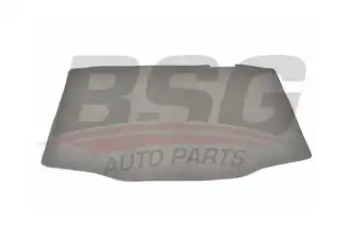 BSG 60922012 Motor Kaput Süngeri