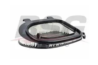 BSG 15135013 Hava Filtresi