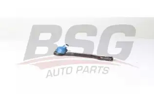BSG 75310013 Rot Başı Sol