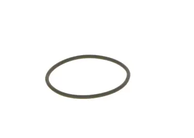 BOSCH F00N201306 O-Ring - 22. Görsel