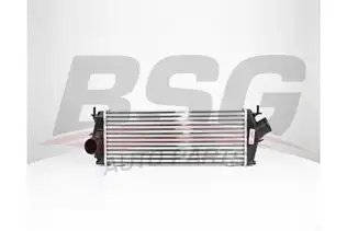 BSG 75535009 Turbo Radyatörü
