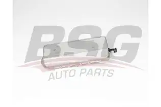 BSG 15506033 Yağ Soğutucusu