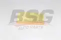 BSG 25135007 Hava Filtresi