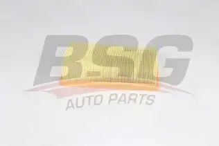 BSG 25135007 Hava Filtresi