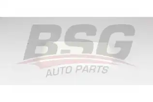 BSG 40145024 Polen Filtresi