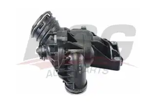 BSG 60125020 Termostat