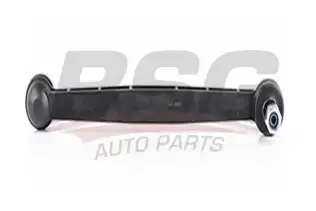 BSG 65310042 Viraj Askı Rotu Ön