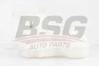 BSG 90550012 Radyatör Yedek Su Deposu