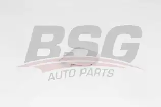 BSG 30922132 Çeki Demir Kapağı Ön