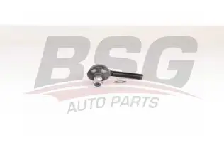 BSG 15310161 Rot Başı Sağ