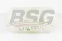 BSG 70550004 Radyatör Yedek Su Deposu
