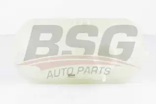 BSG 70550004 Radyatör Yedek Su Deposu