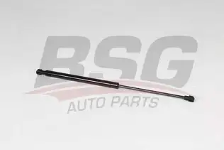 BSG 75980011 Bagaj Amortisörü