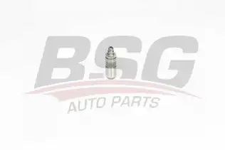 BSG 65122014 Supap Itıcı Tusu