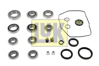 LUK 462005710 Şanzıman Rulmanı