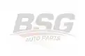 BSG 90910033 Ayna Camı Sağ
