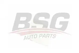 BSG 90910033 Ayna Camı Sağ