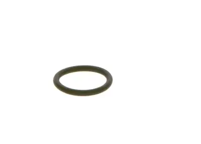 BOSCH F00RJ01452 O-Ring - 25. Görsel