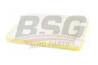 BSG 70145005 Polen Filtresi