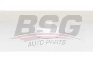 BSG 15130008 Yakıt Filtresi