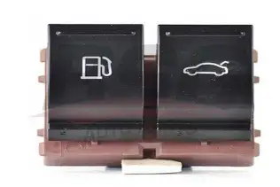 BSG 90860060 Bagaj Ve Depo Kapak Düğmesi