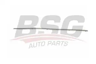 BSG 90924018 Kapı Bandı Ön Sağ