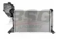 BSG 60520003 Su Radyatörü