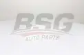 BSG 60145017 Polen Filtresi