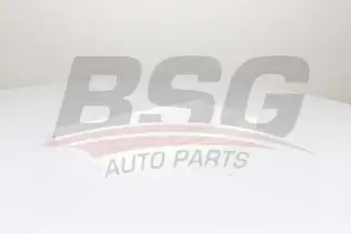 BSG 60145017 Polen Filtresi
