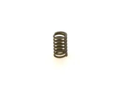 BOSCH 1414618028 Basınç Yayı - 5. Görsel