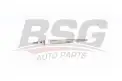 BSG 40870002 Kızdırma Bujisi