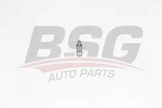 BSG 90122020 Supap Itıcısı