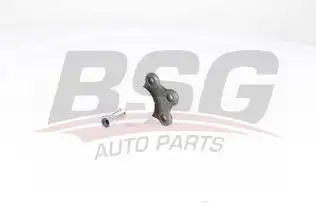 BSG 75310048 Rotil Alt