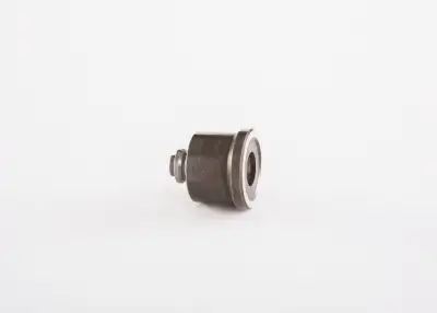 BOSCH 2418552151 Pompa Valfi - 6. Görsel